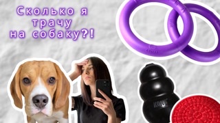 Сколько денег я потратила на собаку? смотреть онлайн