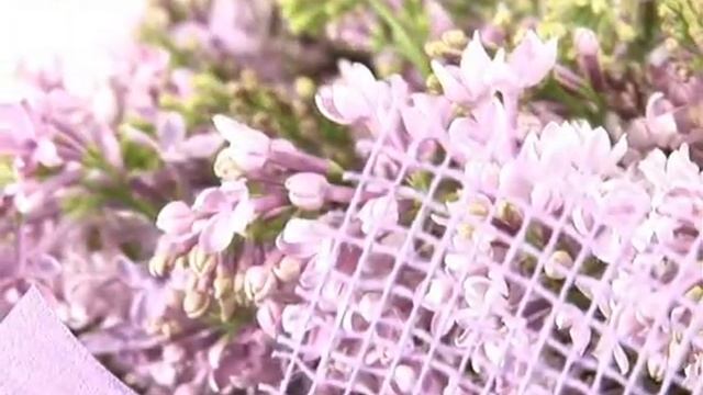 "Лиловый букет" от Flower-shop.ru смотреть онлайн