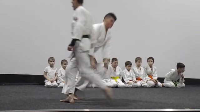 Показательное выступление Айкидо 29.12.2019 смотреть онлайн