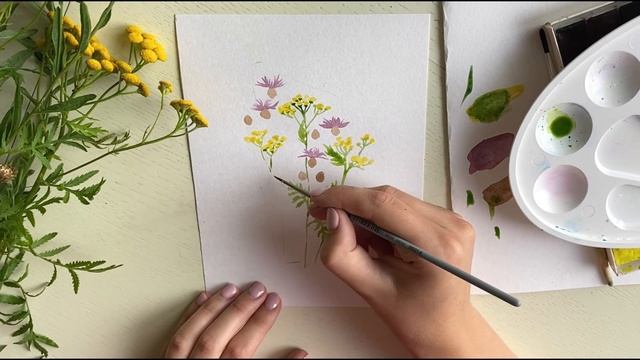 Василёк луговой и пижма акварелью. Рисуем нежный букет полевых цветов смотреть онлайн