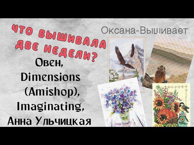 164. Продвижения за ДВЕ недели | Овен, Ульчицкая, Dimensions (Amishop), Imaginating| Вышивка крестом смотреть онлайн