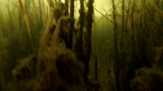 Карп зимой... смотреть онлайн