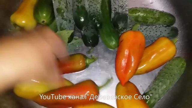 пятница 13/новая стрижка/котята и цыплята/урожай/#ДеревенскоеСело смотреть онлайн