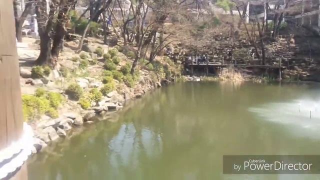 Как проходит день студента по обмену в Сеульском Национальном унив-те (+ поход в супермаркет Лотте! смотреть онлайн