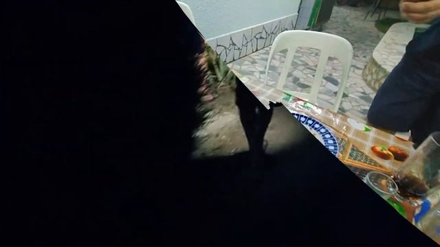 ОТДЫХ НА ДАЧЕ В ТАШКЕНТЕ смотреть онлайн