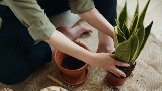 BioGrow от BioBizz Органические удобрения