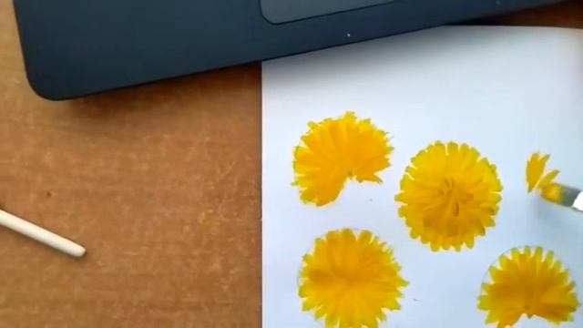 рисование одуванчики1 480 смотреть онлайн