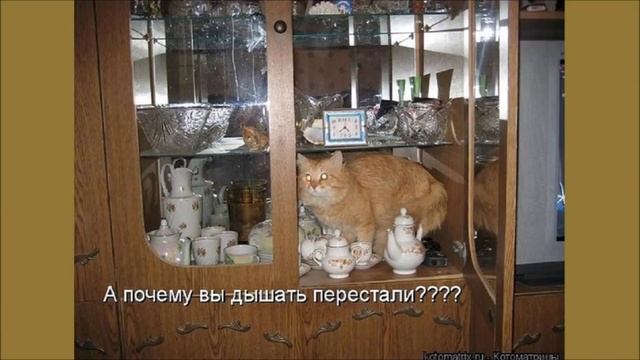 Они и Мы – 3 смотреть онлайн