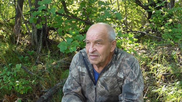 На медведя и соболя с лайкой смотреть онлайн