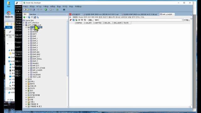 7 Oracle DB 무료관리툴 SQL Developer 에서 대량테이블 Import 빠르게 하는 방법 смотреть онлайн