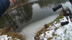 Спиннинг для твичинга. Maximus Marauder. Где ты был раньше?