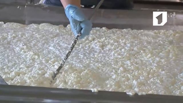 Утренний эфир / Производство творога смотреть онлайн