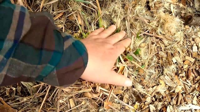 Must Have Gardening Tools For 2022! смотреть онлайн