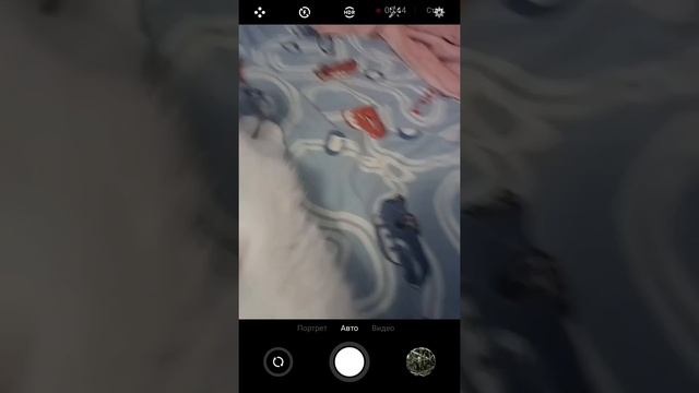 Моя кошка улыбается