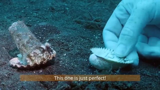 Случай в воде-(720p24).webm