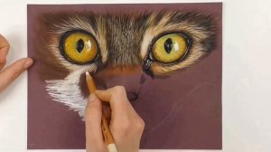 Рисуем кошку крупным планом