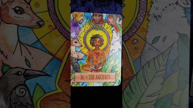 The Ancients ? Earthcraft Oracle card meaning смотреть онлайн