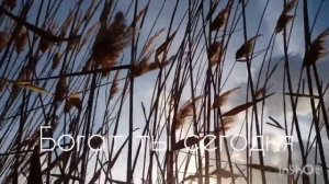 Житейское море играет волнами!!!