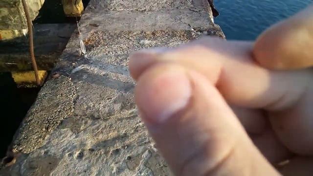 Морская рыбалка на рассвете. смотреть онлайн