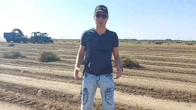 Приглашение на вебинар: Хранение лука. Технология и подходы. смотреть онлайн