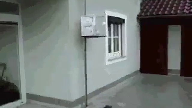 Когда кот в семье любимчик))