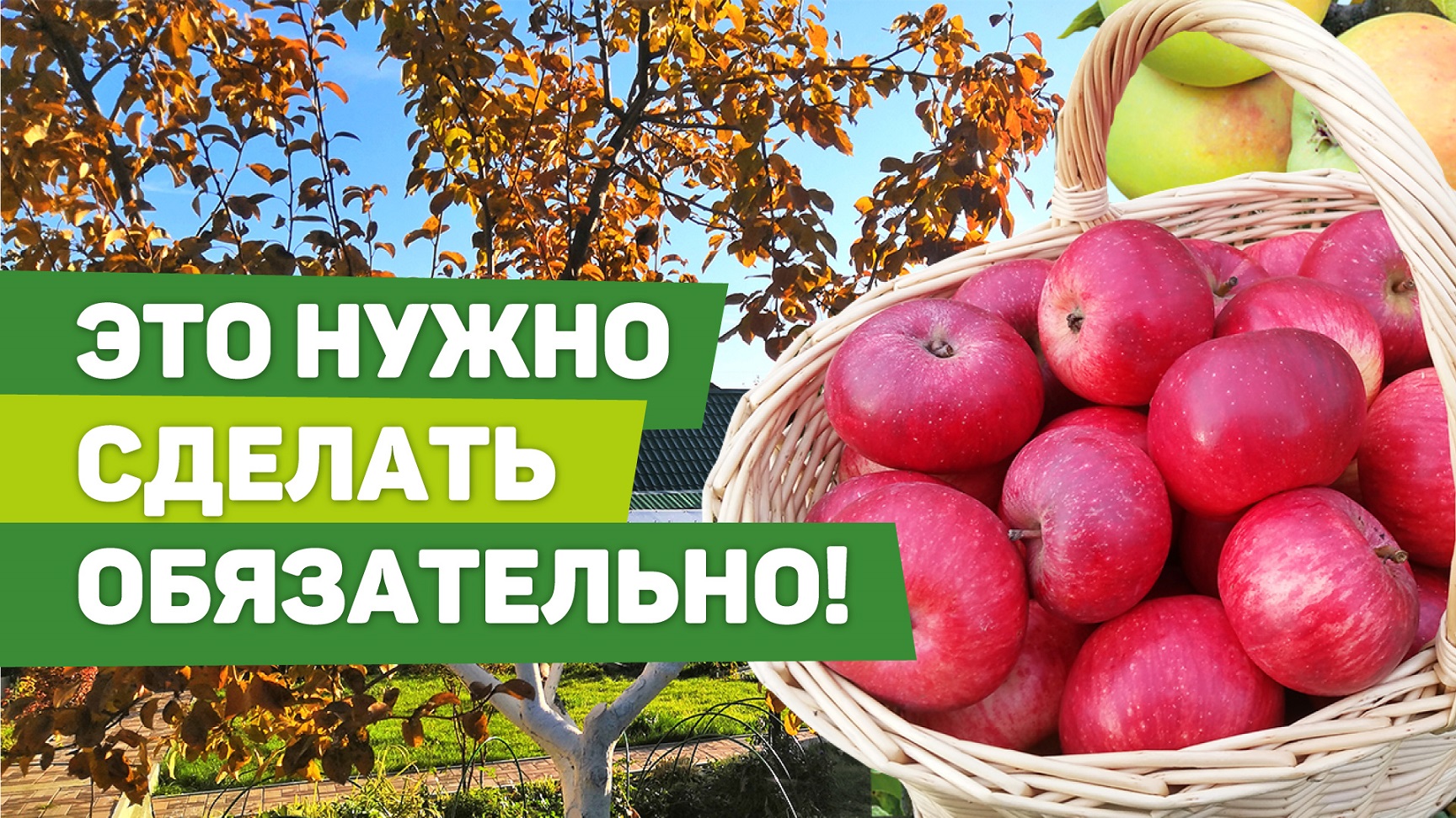 Правильно подготовьте плодовые к зиме. От этих действий зависят урожаи смотреть онлайн