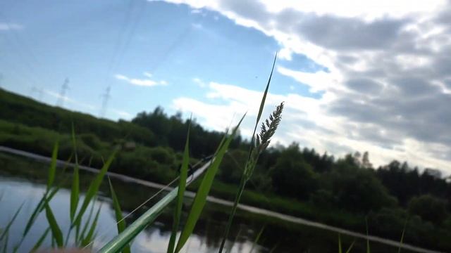 Отличная рыбалка на щуку и ельца на Муре летом. смотреть онлайн