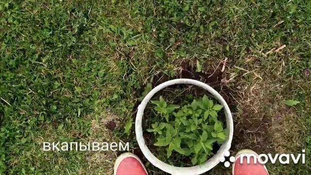 Бордюр для растений своими руками смотреть онлайн