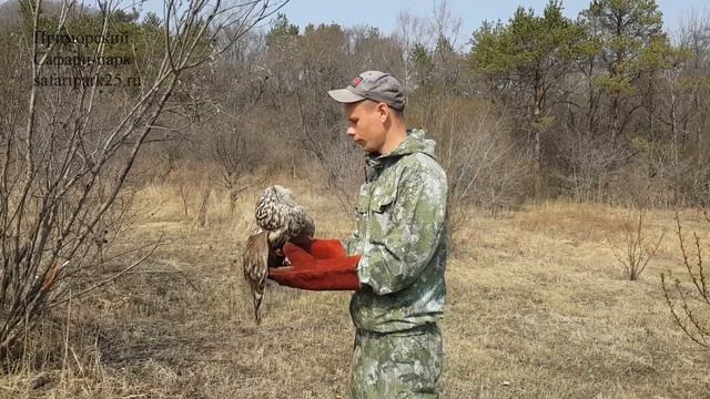 ВЫПУСК НЕЯСЫТИ В ПРИРОДУ смотреть онлайн
