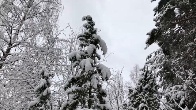 Norsk vinter Winter Wonderland смотреть онлайн