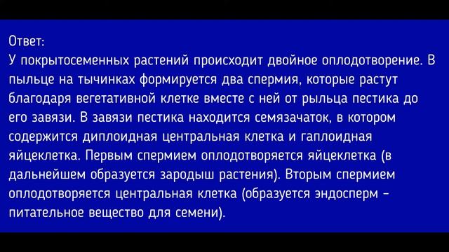 Биология 6 класс. §24 Отдел Покрытосеменные. Общая характеристика и значение. смотреть онлайн
