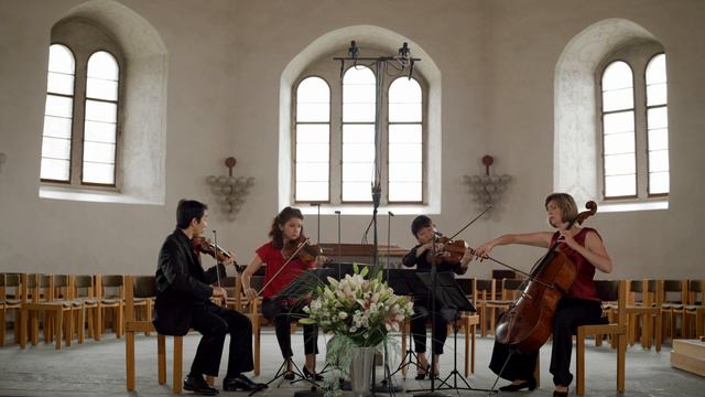 Joseph Haydn, String Quartet In G Minor, Op. 20 No. 3, Pacific Quartet Vienna