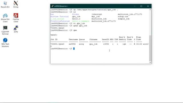 How to Run a GPU Job on the Grid смотреть онлайн