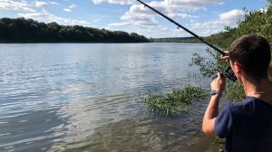 Ловля плотвы на пшеницу| Крупная плотва на Оке|