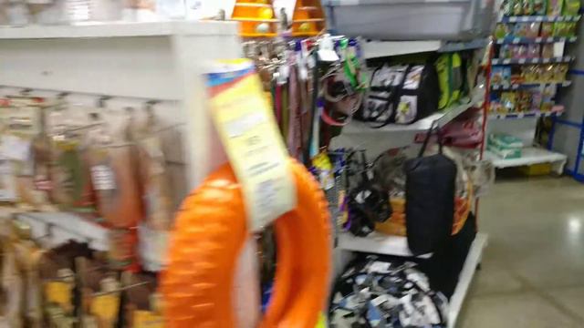 Интернет магазин Зооград. Товары для животных с доставкой по России. смотреть онлайн