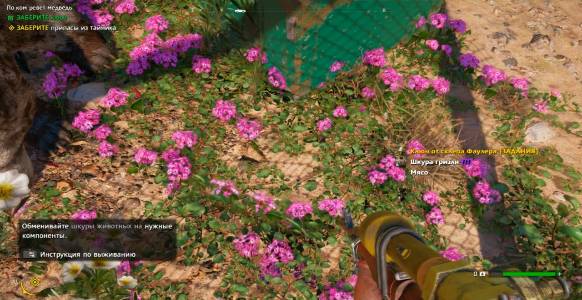 Far Cry New Dawn. Тайник Уэйда:Как приманить медведя !!