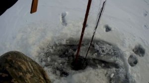 РЫБАЛКА НА ЭКРАНЫ ЗИМОЙ!!!