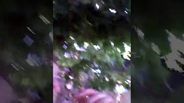 Мы в парке где праздник ИНДИИ (часть 1 ) смотреть онлайн