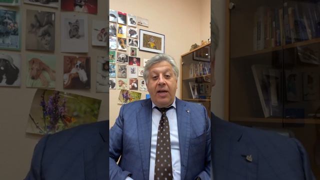 (Они называют это правосудием, Карл!) Юридическая Компания «Амбер» с передачей «Завтрак Юриста» смотреть онлайн