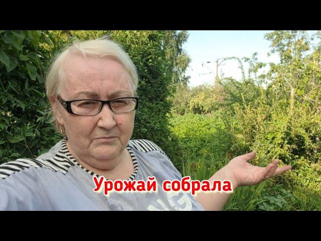 Просто было некогда