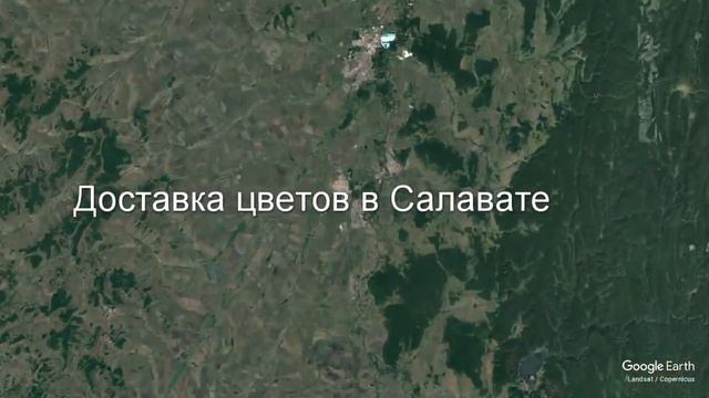 Доставка цветов в Салавате - Заказ букетов от компании Скорая подарочная помощь смотреть онлайн