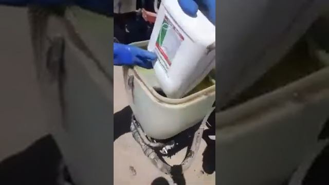 Использование био-прилепателя Липосам от БТУ-Центр для закрепления граминицида Фюзилад Форте смотреть онлайн