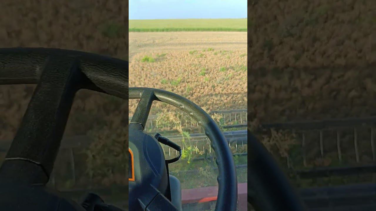 Автопилот в этой ситуации просто необходим. Поставили автопилот CHCnav на трёх комбайнах (часть 2) смотреть онлайн