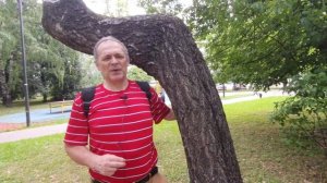 #17 Горбатого исправит могила. Или Сибирская Тройчатка