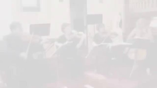 Music Adelaide String Quartet play classical music at a wedding ceremony смотреть онлайн
