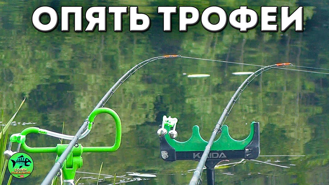 ОПЯТЬ СЛАБОНЕРВНЫМ НЕ СМОТРЕТЬ. РЫБАЛКА С НОЧЕВКОЙ. Рыбалка на фидер смотреть онлайн