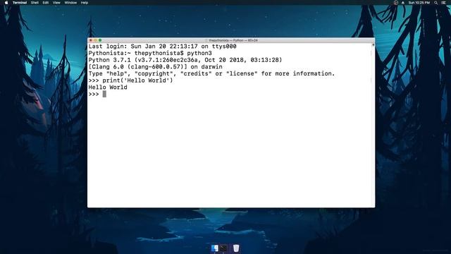 05 Introduction to Python for beginners 2019 - Python Shell смотреть онлайн