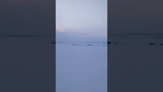 рыбалка на амуре п. ленинск. смотреть онлайн