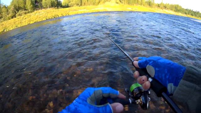 Может ли хариус, клевать на силикон смотреть онлайн