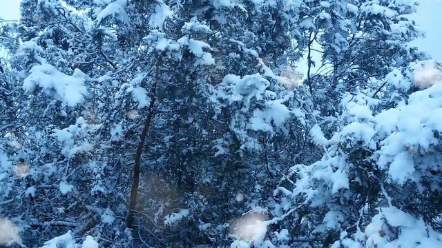 Зима в Черноморском смотреть онлайн